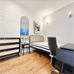 Furnished Room in Crown Heights