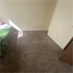 Looking for a roommate!