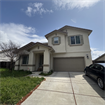 Looking for roommate