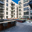 Roommate needed for  BTH apt