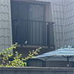 Roommate needed ASAP
