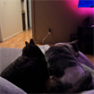 Cozy townhome in North Phoenixx