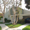 Master bedroom in b Irvine