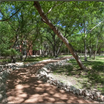 Quaint Nature surrounding you B