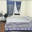 Looking For a Roommate (woman)