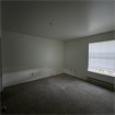 Looking for a Roommate!