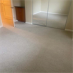 looking for a roommate