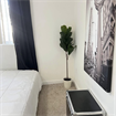 Private room + private bathroom