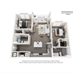 Looking for female roommatees
