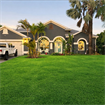 Desirable SW Cape Coral Pool Home
