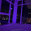 2 bedroom high rise DTLA