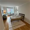 Luxury Living in Midtown West