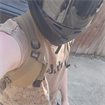 user24058121