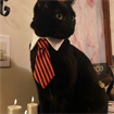 Albert