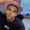 Odelvis