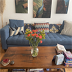 Willow Glen/Room For Rent