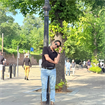 Gohar