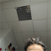 Ege