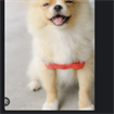 Ege
