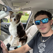 Dylan
