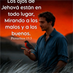 Luis carlos