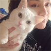 Kat