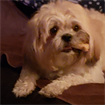 Pamela