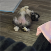 kay