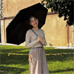 Fiza